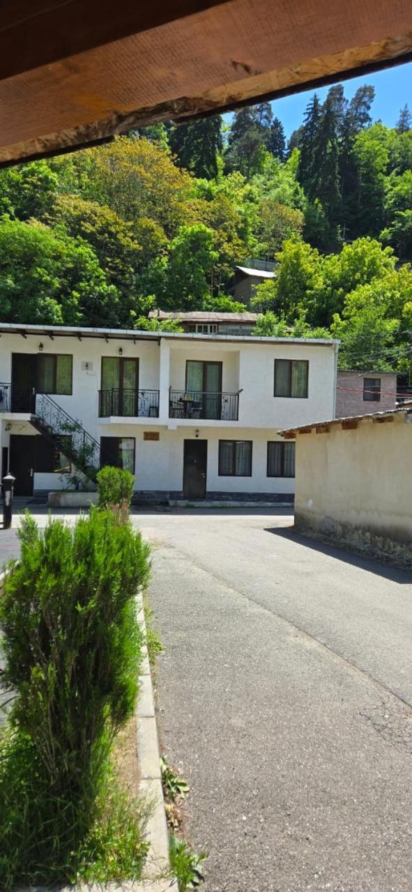 My House Villa Borjomi Ngoại thất bức ảnh